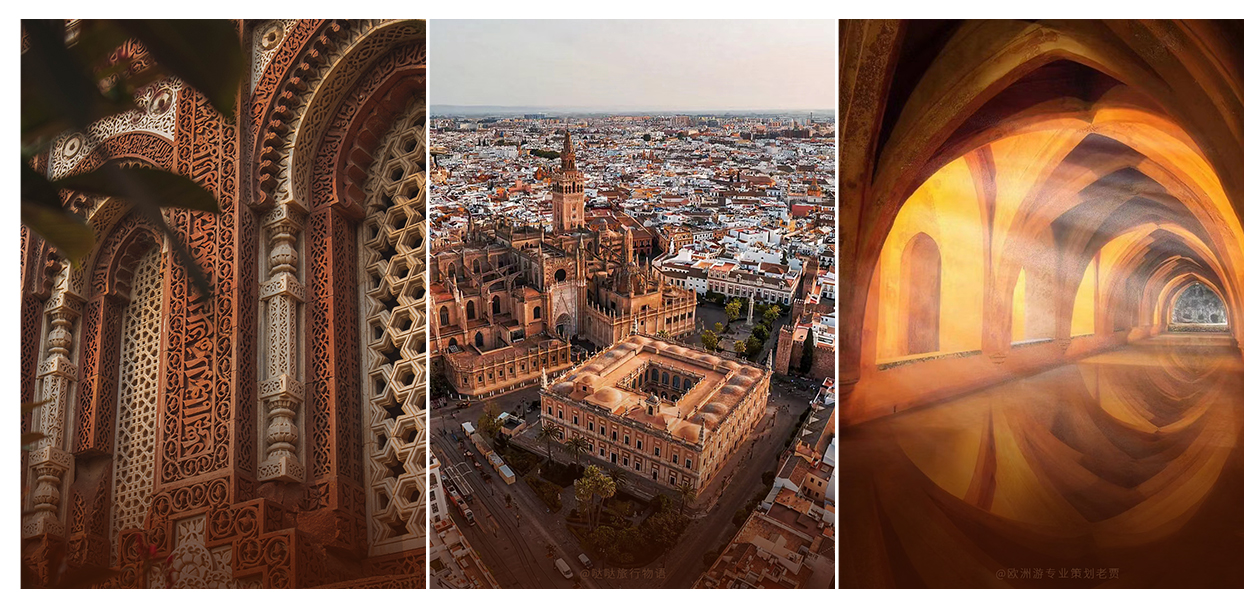 威斯尼斯人app官方