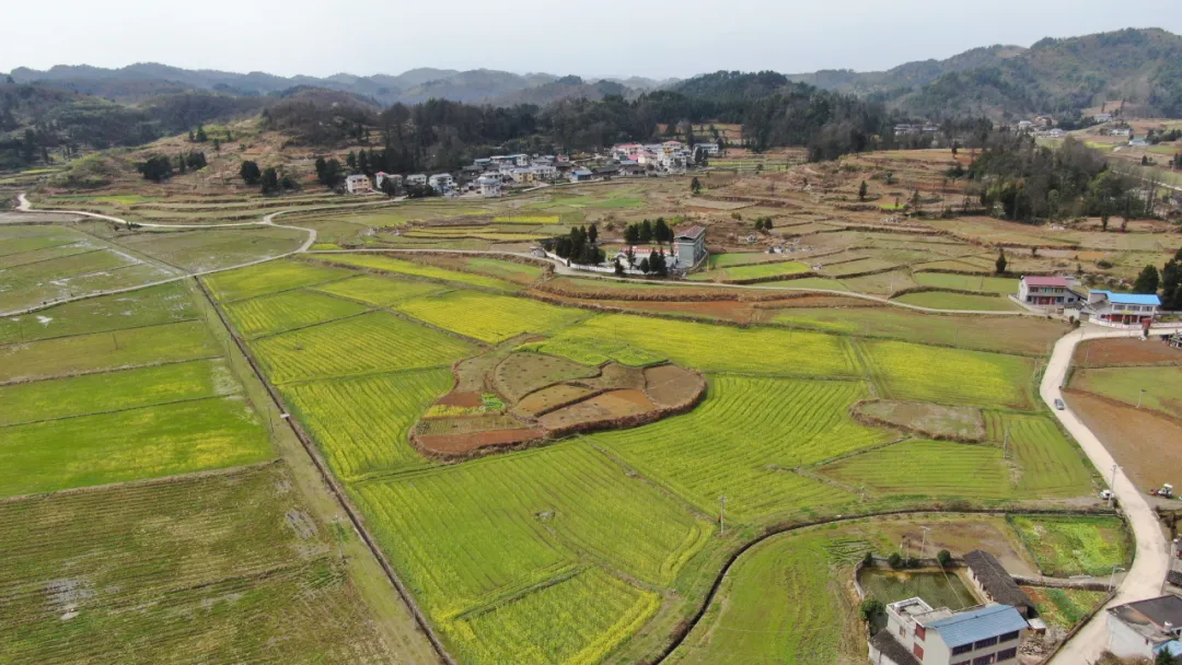 威斯尼斯人app官方